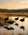 Core all-black duck silhouette decoys