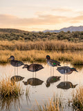 Immortal green-wing teal silhouette decoys