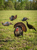 Immortal turkey silhouette decoys in a field