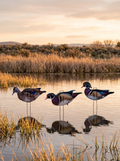 Immortal wood duck silhouette decoys